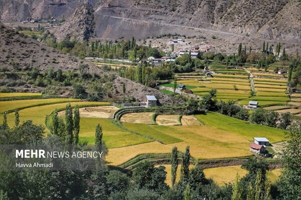 آب و خاک سالم در کنار تغذیه سالم مهم است