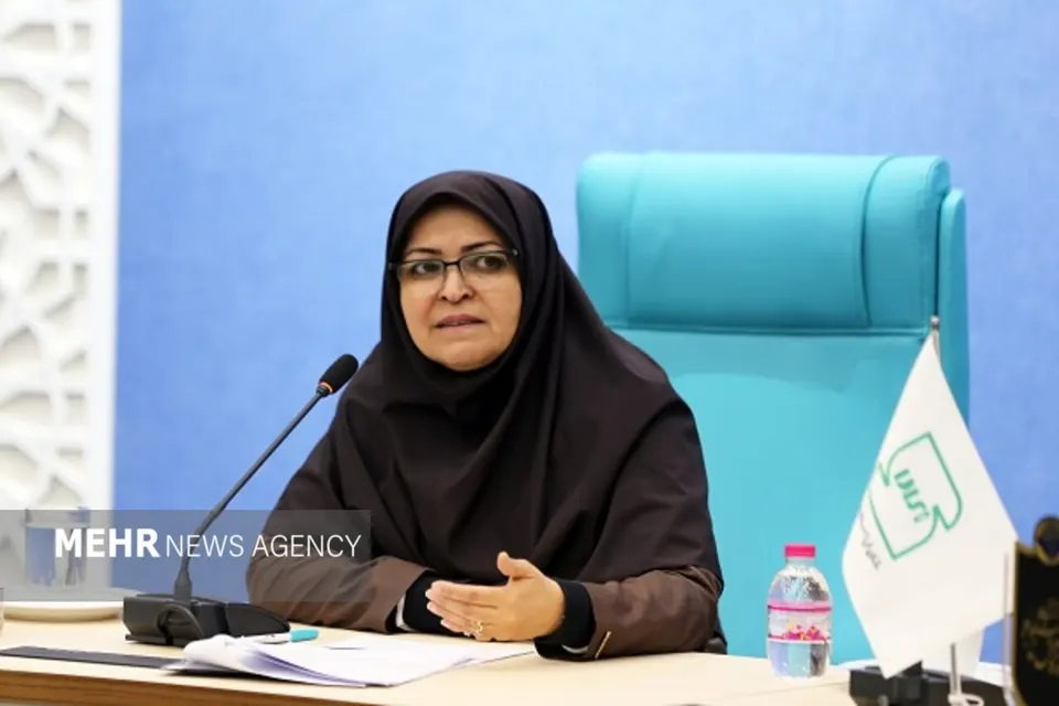 اتصال سامانههای استاندارد و گمرک برای تسریع ترخیص کالا